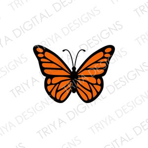 Puede incluir: Una mariposa monarca con alas naranjas y contornos negros. La mariposa est&aacute; en vuelo con las alas extendidas.