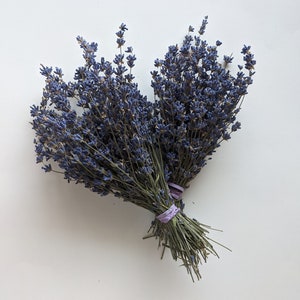 English Lavender- Short Bundles