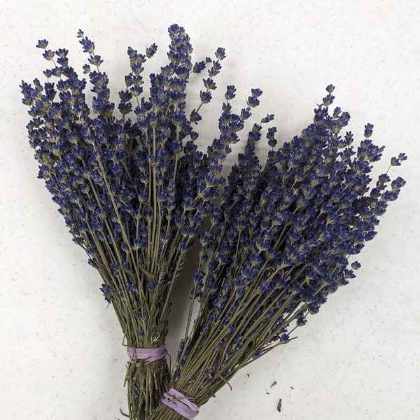 Dried Lavender - Royal Velvet