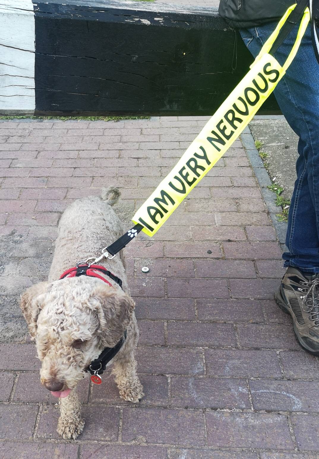 Please Give Me Space, Dog Leash Warning Sleeves, Dog Leash. Etsy UK