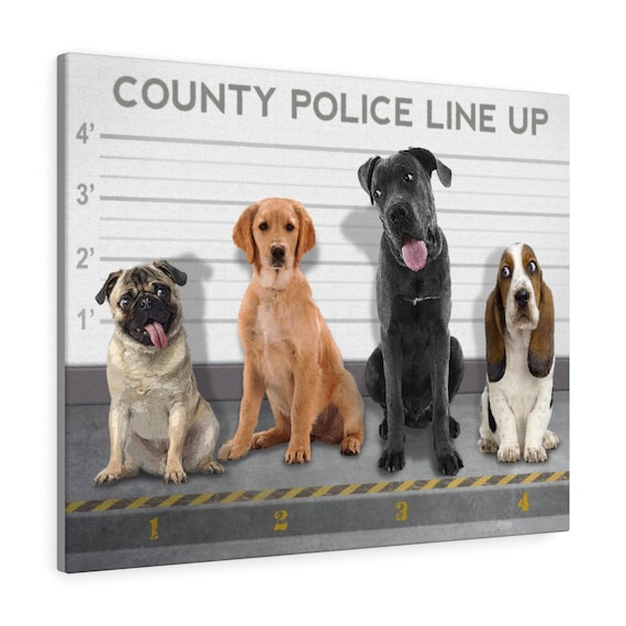 Can The Police Take Your Dog