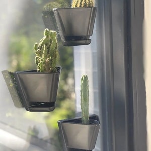 May include: Three black triangular plant pots with different cacti plants growing inside. The pots are mounted on a window with a clear glass pane.