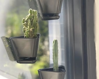 Hold My Seeds| Window/Wall Planters | With Drainage Holes