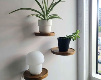 Round Wooden Pine Shelves (3)