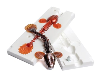 May include: A white plastic mold for making fishing lures. The mold is open and shows a brown and orange lure with a segmented body. The lure is partially inserted into the mold.