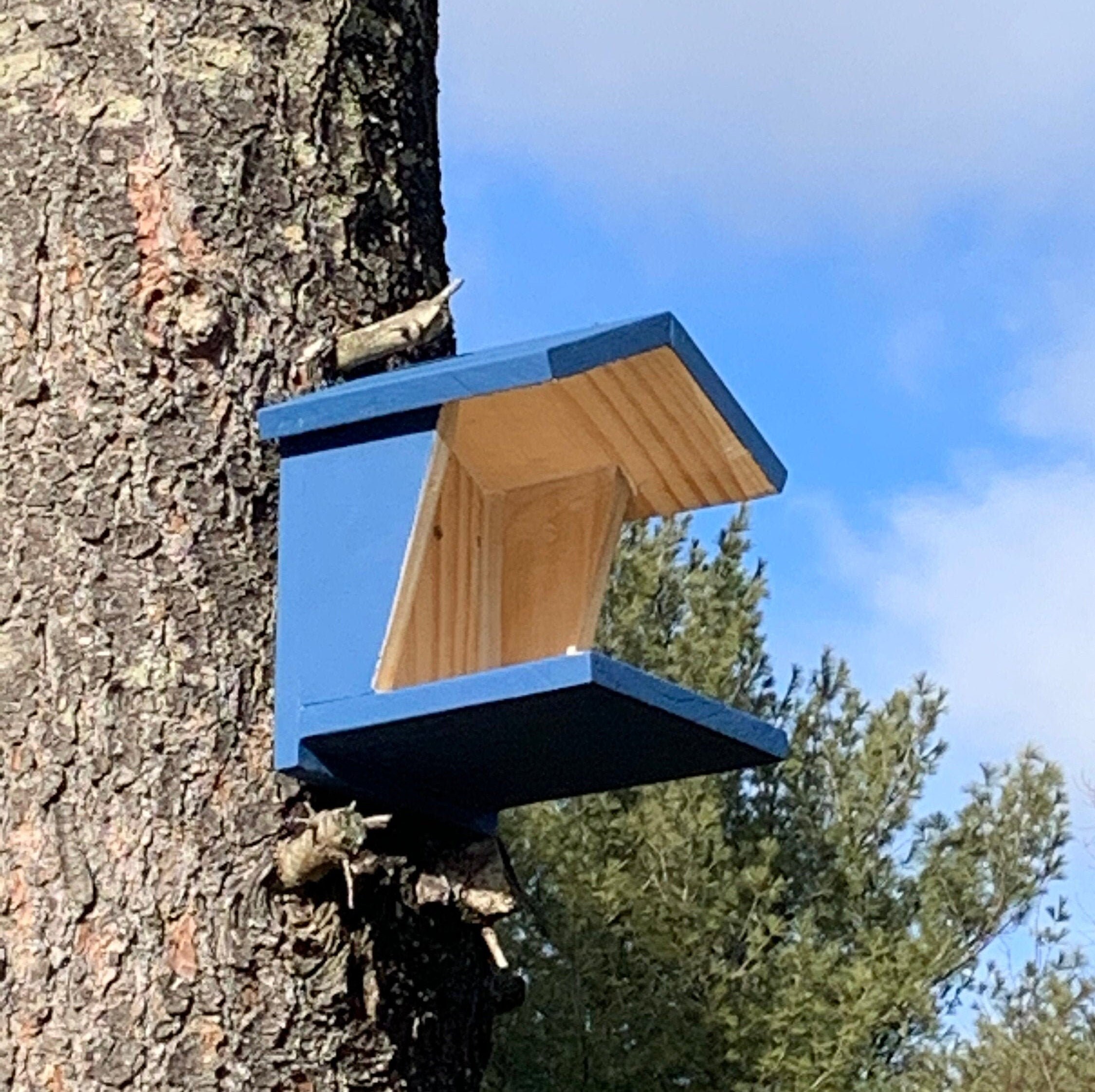 Blue Jay Bird House hand Made Etsy