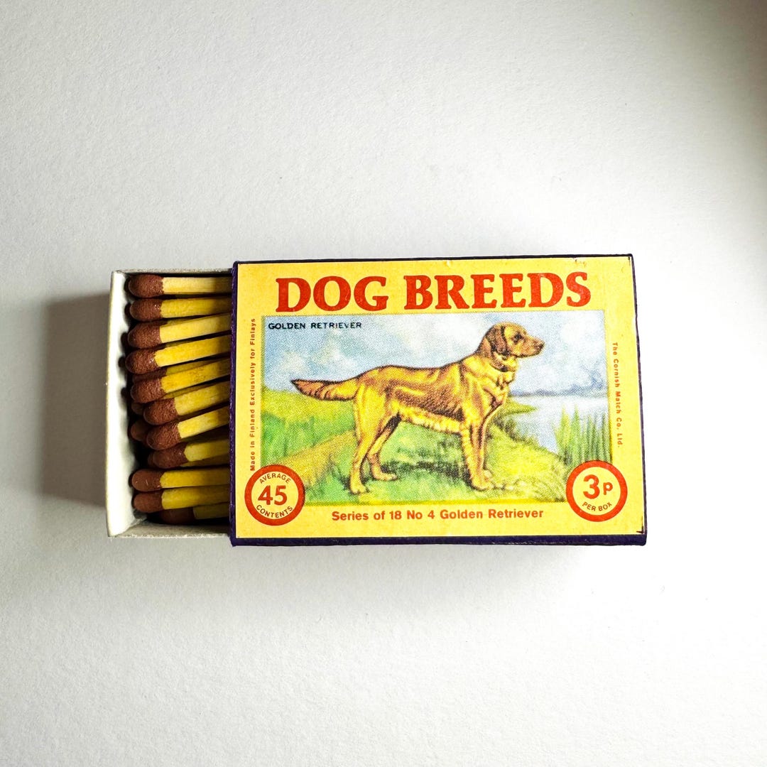 Dog Breeds: Golden Retriever Vintage Matchbox - Etsy