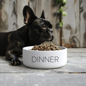 Dog Bowl Dog Food Bowl Pet Bowl Pet Food Bowl Pet Food Bowls Cat Bowl Cat Food Bowl Ceramic Dog Bowl Ceramic Dog Food Bowl Ceramic Cat Bowl