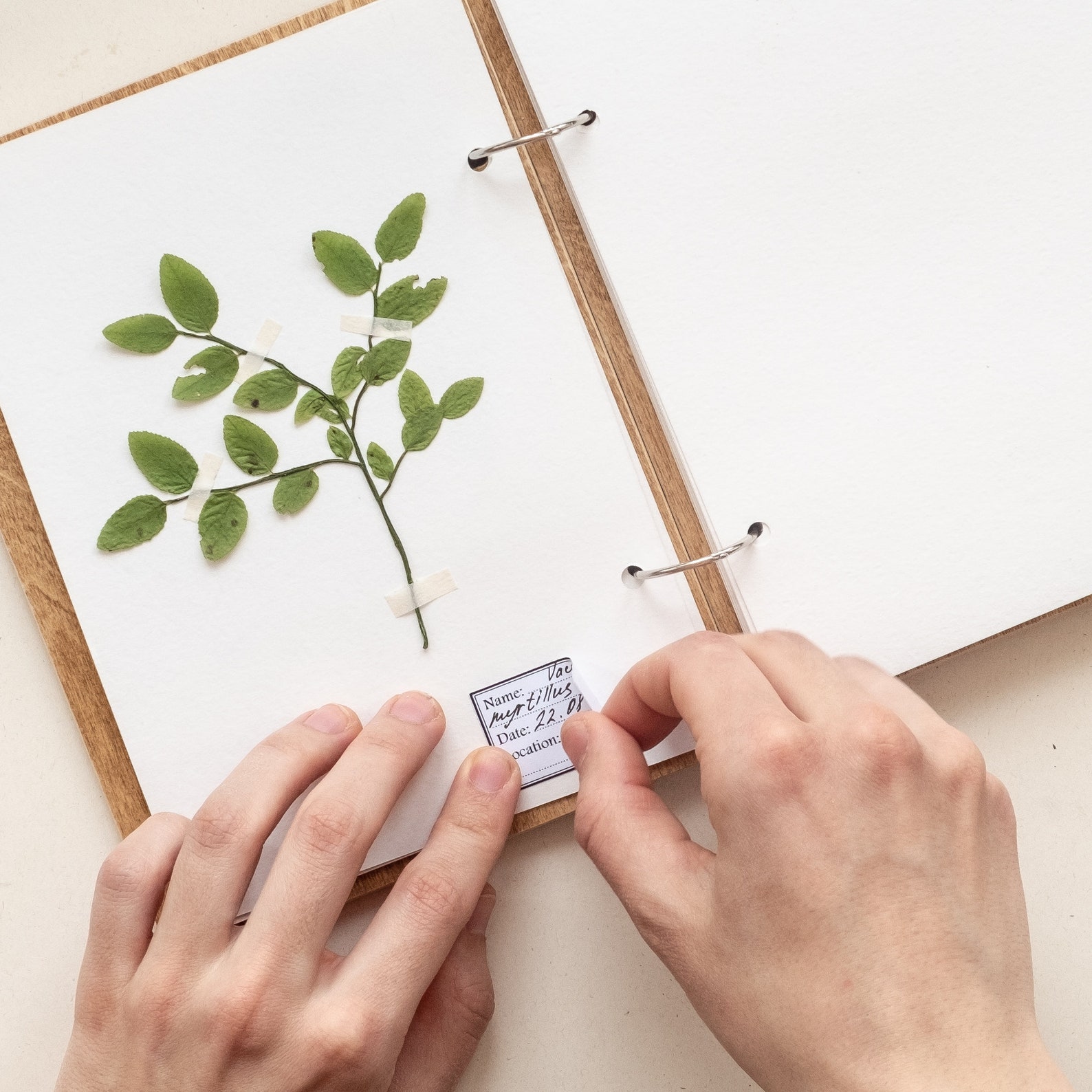 Herbarium Book Botany Notebook Botanist Journal for Pressed Etsy