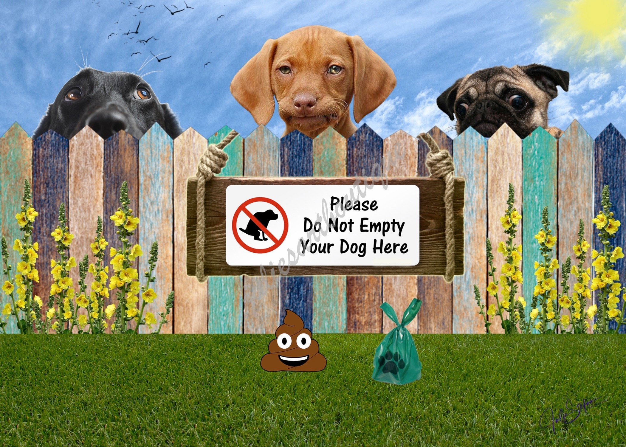 Please Do Not Empty Your Dog Here Etsy