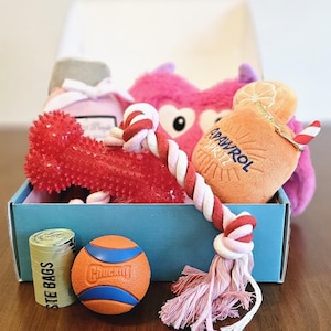Mother's Day Pet Gift Box, Surprise Dog Toys Basket, Small Large Sizes