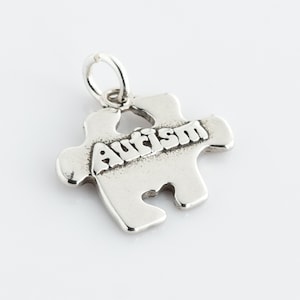 Sterling Silver Autism Awareness Puzzle Charm, Awareness, Autism Awareness Gift, Charm Bracelet, Autism Charm, ARC010