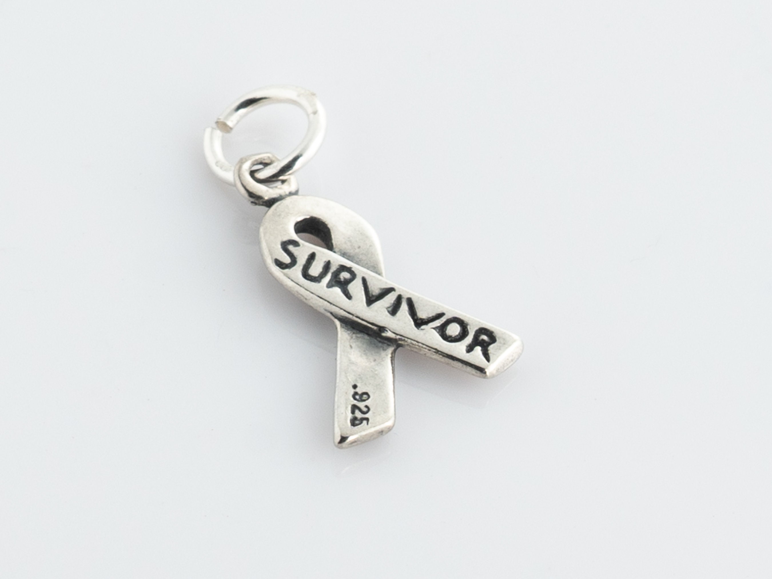 I am a Survivor Personalised Silver 50 mm Aztec Medal & Ribbon Choice 