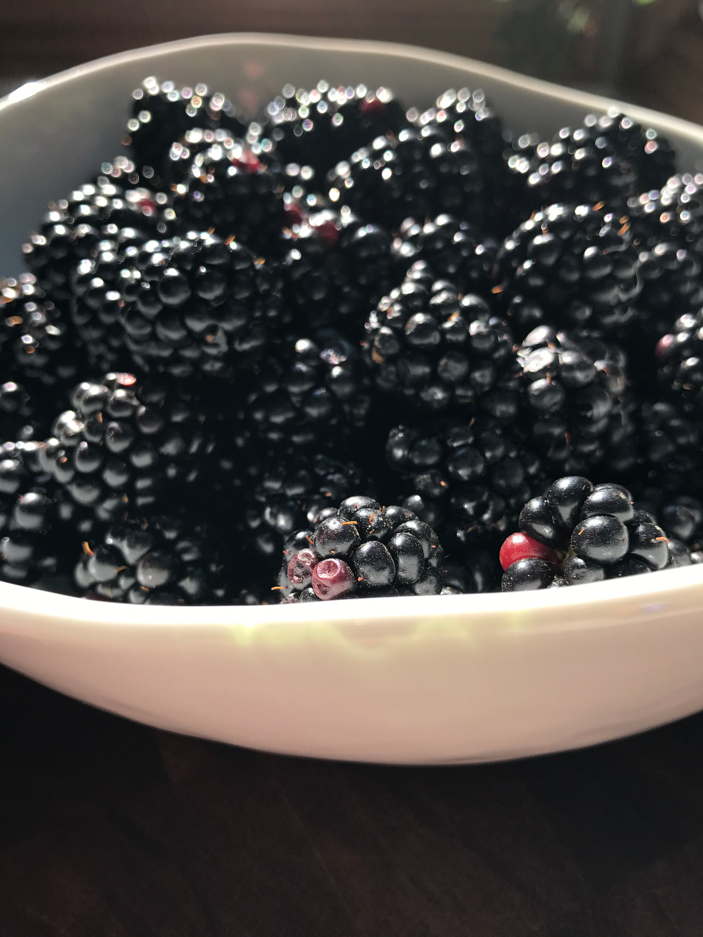 Oregon Blackberry Habanero Jam Etsy