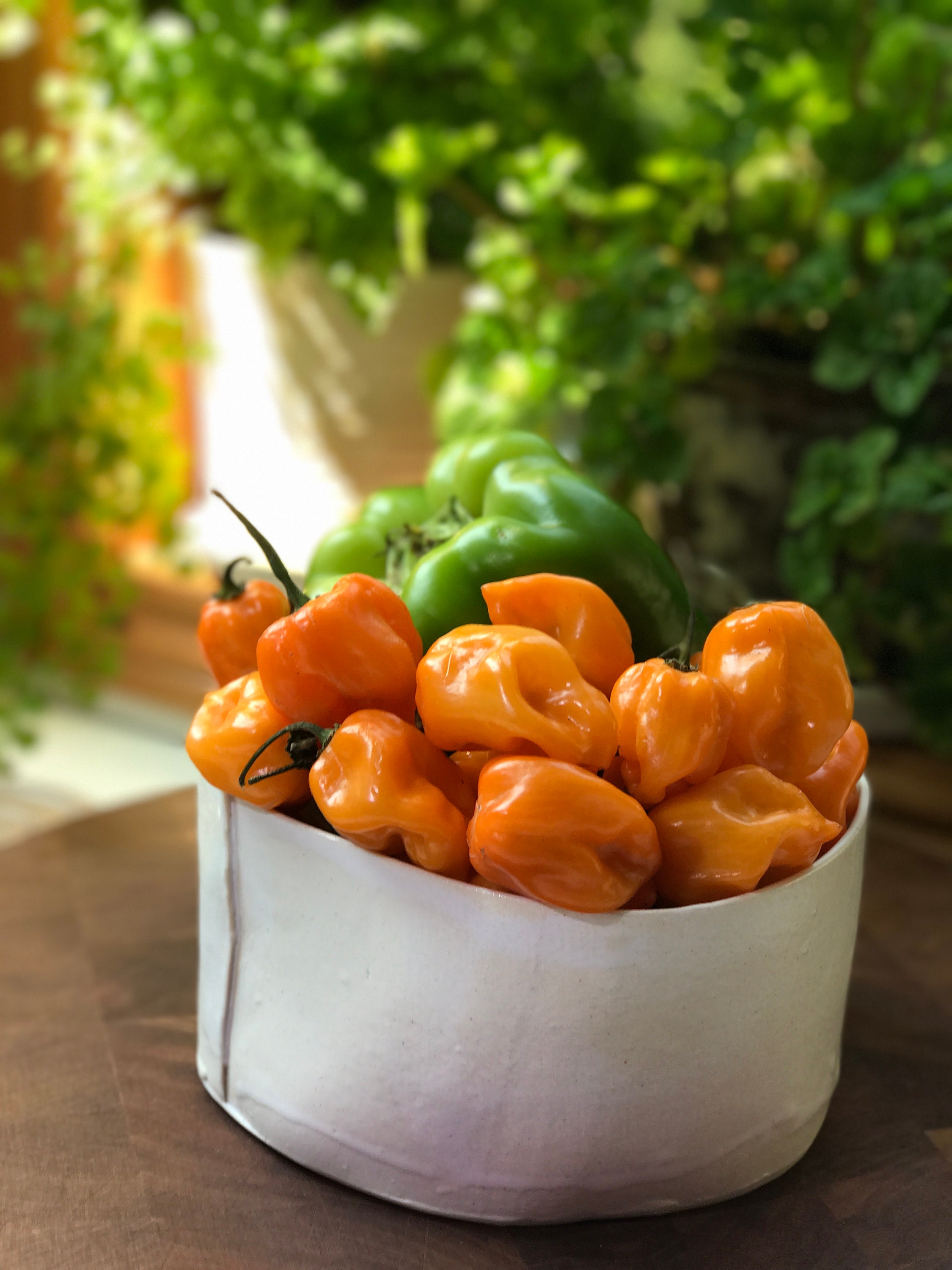 Oregon Blackberry Habanero Jam Etsy