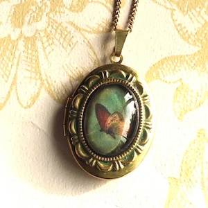 Vintage Style Oval Brass Locket with a Glass Butterfly Cabochon on a Matching Curb Chain