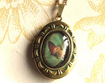 Vintage Style Oval Brass Locket with a Glass Butterfly Cabochon on a Matching Curb Chain