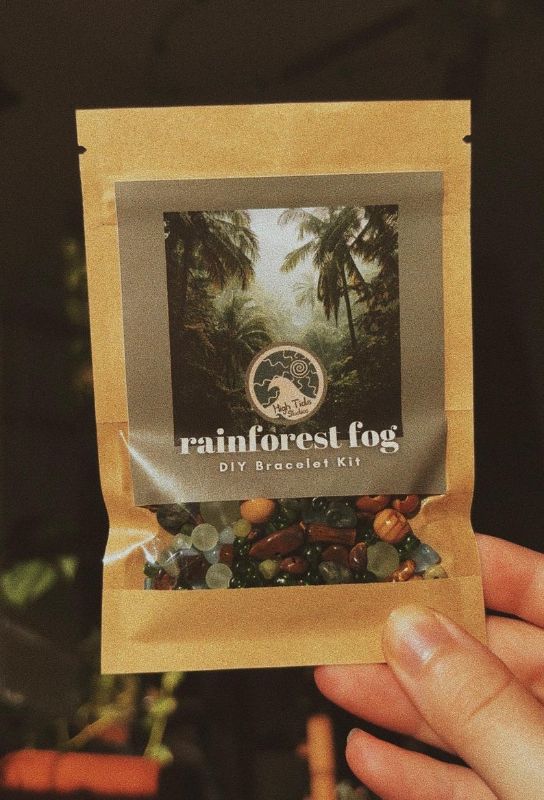 May include: A DIY bracelet kit in a brown paper package. The package features a rainforest scene and the words "rainforest fog" and "DIY Bracelet Kit." The kit contains various colorful beads in shades of green, orange, and brown.