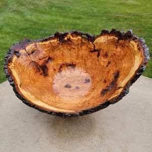 ET60: Large Cherry Burl wood bowl, with Natural Bark Edge turned in a rustic style, one of a kind.