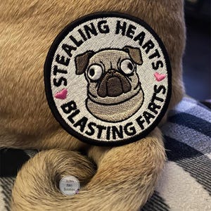 May include: A brown and white pug dog with big eyes is on a white and black patch that says "Stealing Hearts Blasting Farts" with two pink hearts.