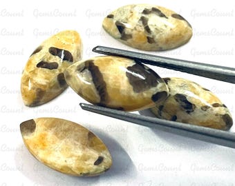 Zebra Jasper Cabochon Calibrated Marquise Gemstone Natural Crystals For Jewelry