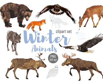 Winter Animals of the Forest clipart set, Cute animal digital images, wild life illustrations: bear, wolf, deer, eagle, rabbit, moose & owl.