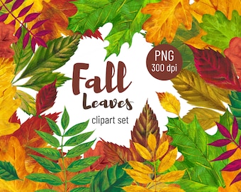 Fall Leaves Clipart, Autumn Leaves Clipart, Autumn Decor, Woodland, Rustic illustration, Halloween, Thanksgiving Clipart, Autumn Leaves PNG