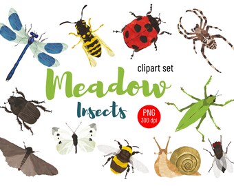 Insects and bugs clipart set, Cute spring digital images, Meadow and prairie animals: ladybug, beetle, fly, spider, wasp, snail & butterfly