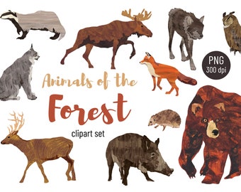 Animals of the Forest clipart set, Cute animal digital images, wild life illustrations: bear, wolf, boar, deer, fox lynx, moose & owl.