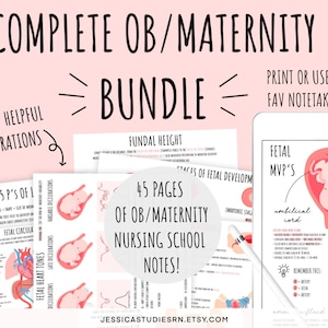 PACOTE DE OB/MATERNIDADE Guias/notas de estudo da escola de enfermagem digital | Obstetrícia/Maternidade | Notas da Escola de Enfermagem | Notas digitais para iPad + planejamento