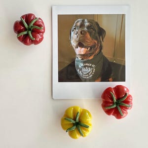 May include: A set of three ceramic mugs with a speckled, matte finish. The mugs are in shades of cream, light gray, and dark gray. Each mug has a simple, minimalist design and a rounded handle.