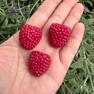 Imanes de frambuesa hechos a mano: imanes de frutas de arcilla polimérica para decoración de cocina y regalos.