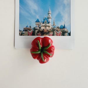 May include: A red, flower-shaped magnet with green accents, placed over a photograph of a fairytale castle with blue turrets and a bright blue sky. The magnet is a vibrant, eye-catching detail.