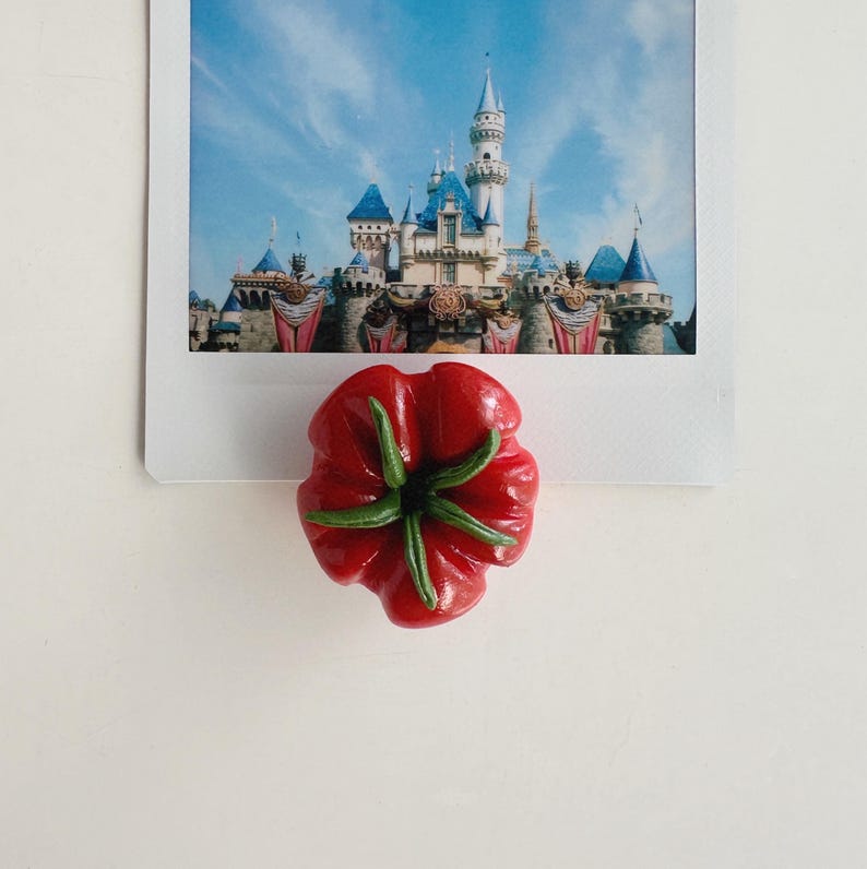 May include: A red, flower-shaped magnet with green accents, placed over a photograph of a fairytale castle with blue turrets and a bright blue sky. The magnet is a vibrant, eye-catching detail.