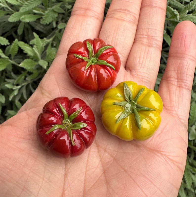 Heirloom Tomato Magnet - Refrigerator vegetable magnet 3 pack