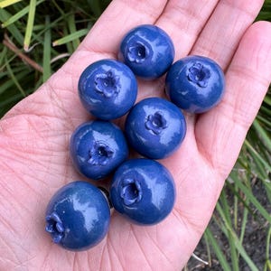 Imán de arándanos - Imán de frutas para el refrigerador