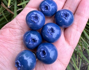 Blueberry Magnet - Refrigerator fruit magnet