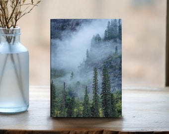May include: A photograph of a misty forest scene with tall evergreen trees on a hillside. The fog is thick and obscures the view of the mountain.