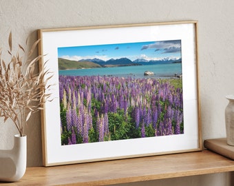 Lake Tekapo New Zealand Print, Lupine Flowers Print, Flower Photography, Wall Décor, Wall Art Prints, Mountain Prints, Mountain Lake Print