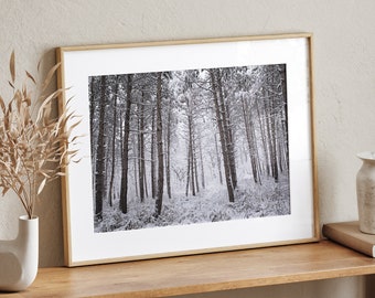 May include: A framed black and white photograph of a snowy forest scene. The photo is in a light wood frame and is hanging on a wall above a wooden shelf.