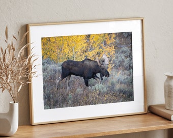 Moose Photography Print, Wyoming Wall Art, Yellowstone Photography, Grand Tetons Print, Wall Décor, Wall Art Prints, Nature Print, Wildlife