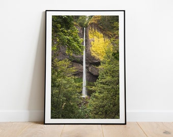 Oregon Waterfall Print, Latourell Falls Print, Pacific Northwest Photography, Columbia River Gorge,  Wall Art Prints, PNW Nature Print