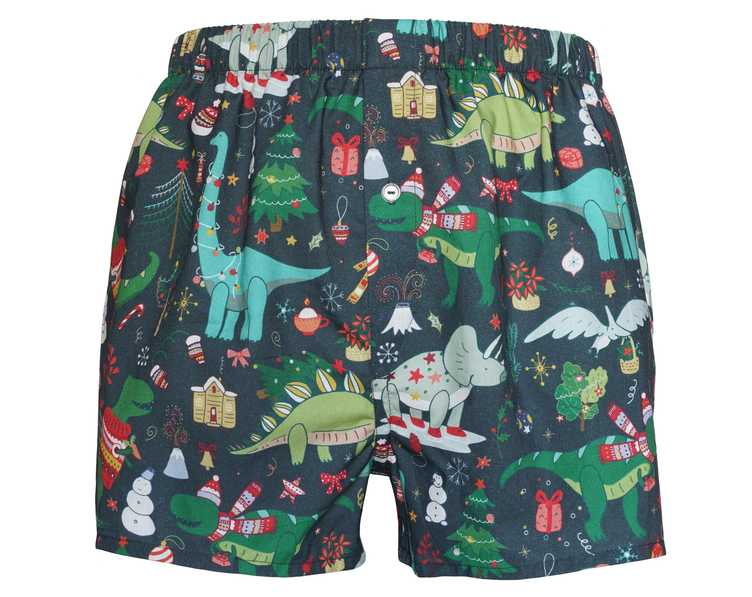 Dinosaurs Pattern Cotton Boxer Kidley Panties Set For Kids And Teens From  Dang08, $9.38