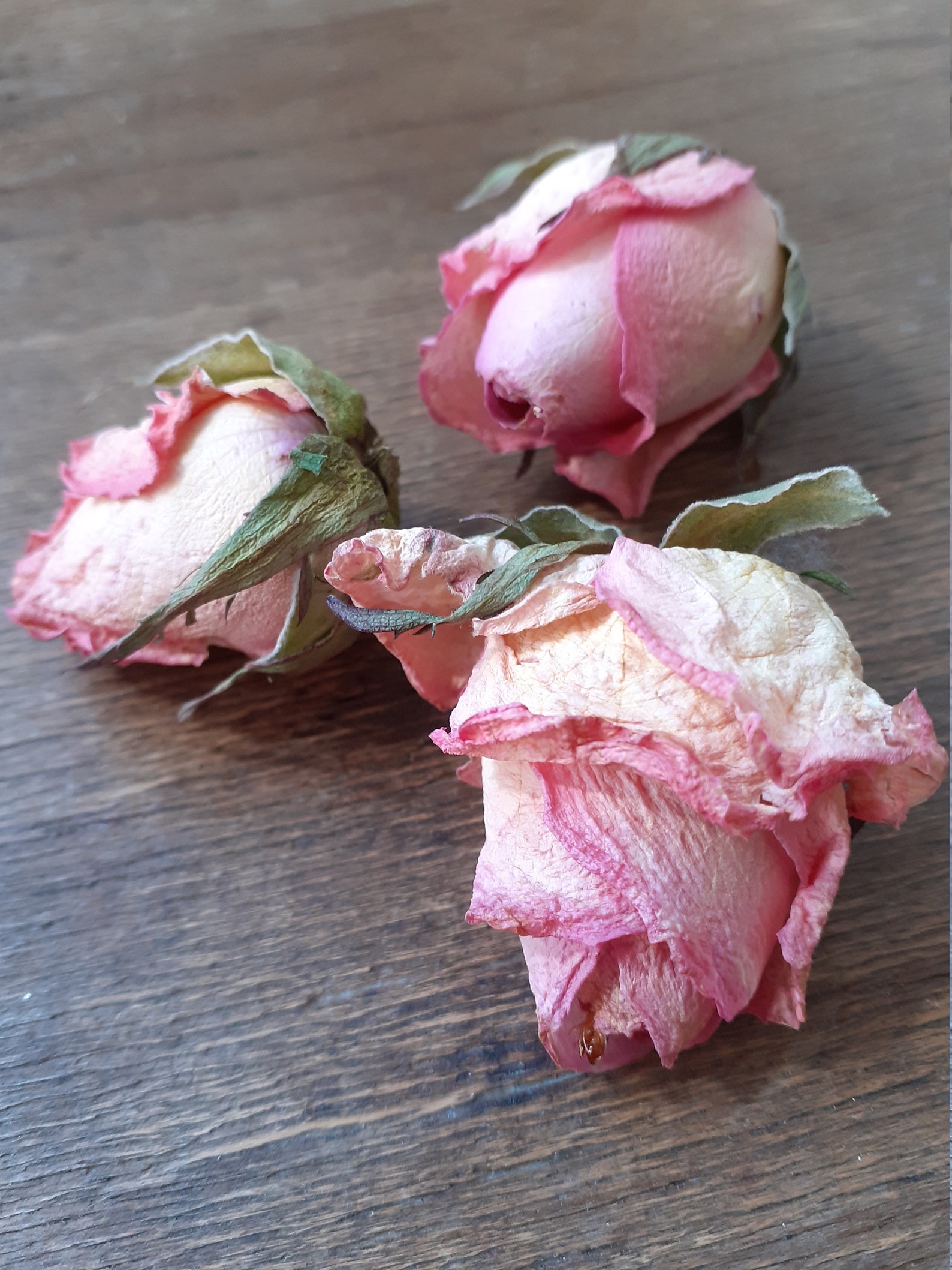 Potpourri dried flowers rose petals pink decoration gift Etsy