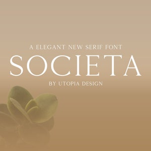 Sans Serif font, Font download, Basic font, Block font, Minimalistic font, Luxury Fonts,Magazine Fonts, Digital font, Logo font, Modern font