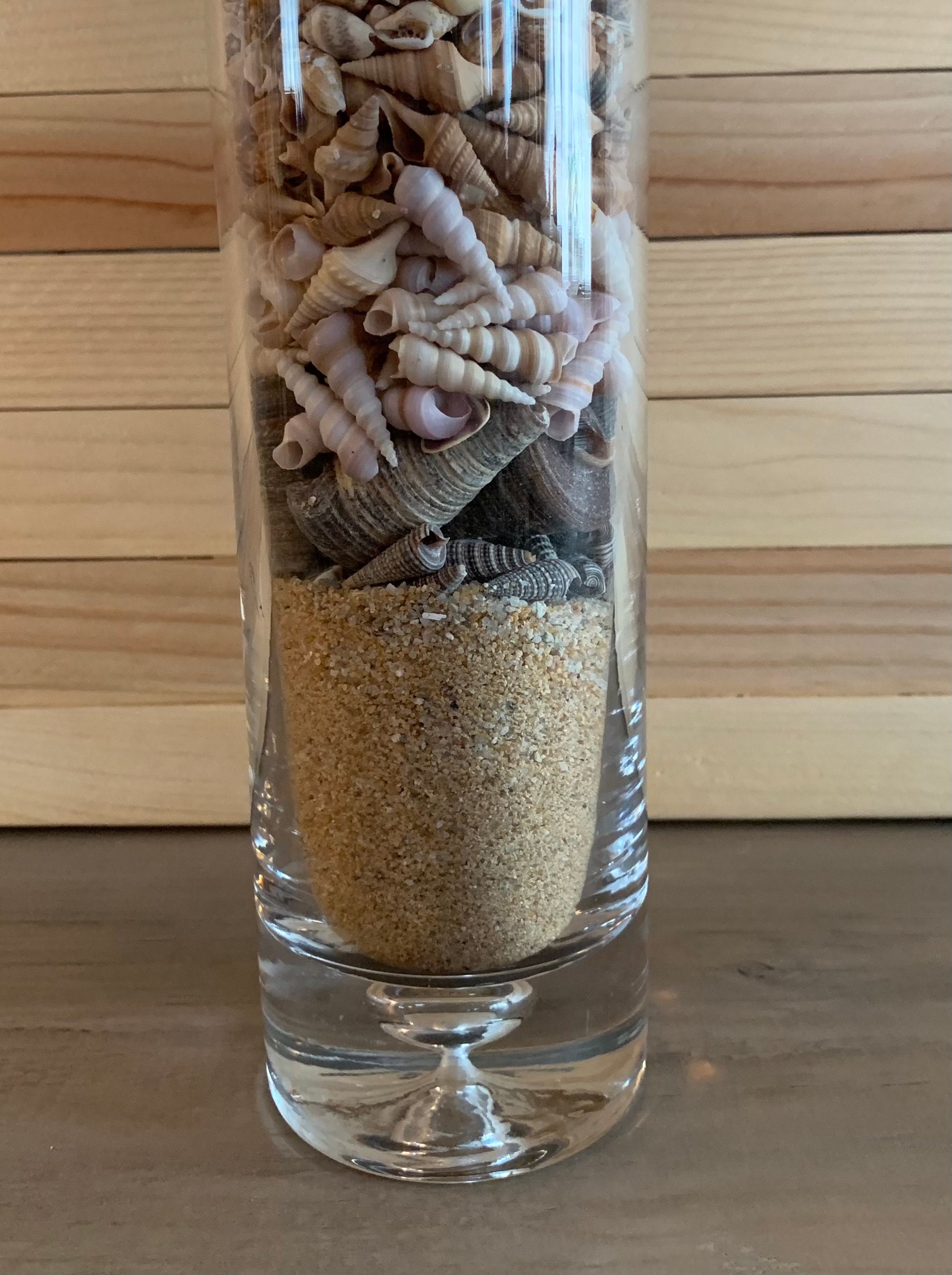 BEACH ART Tall Glass bubble bottom vase with sand shells and Etsy
