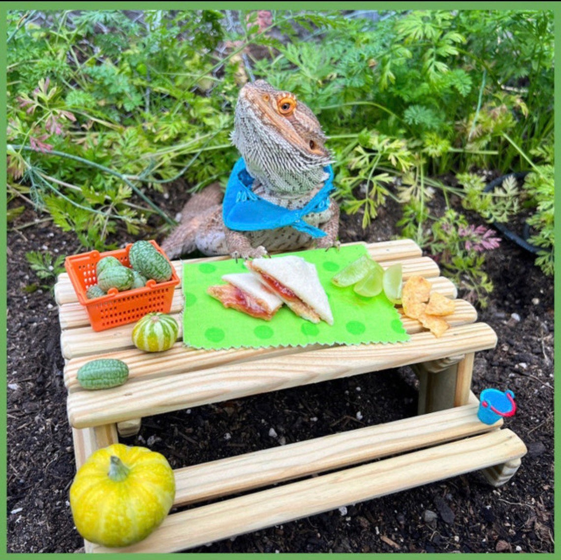 Squirrel Table Pressure Treated Handmade in Vermont Etsy