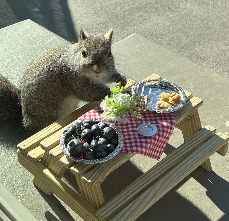 Squirrel Table Pressure Treated Handmade in Vermont Etsy