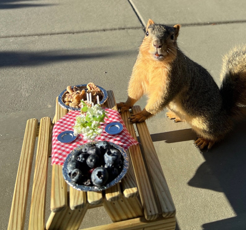 Squirrel Table Pressure Treated Handmade in Vermont Etsy