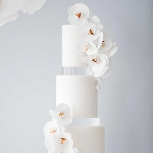 ROUND 30mm Ultra polished acrylic cake separator - transparent cake spacer - cake divider - wedding cake riser - cake design accessories